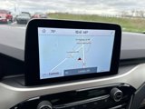 Certified 2020 Ford Escape SE image 4