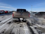 Used 2019 Ford F150 XLT w/ Equipment Group 302A Luxury image 4