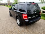 Used 2011 Ford Escape XLT w/ 203A Rapid Spec Order Code image 3