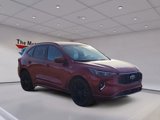 Certified 2023 Ford Escape ST-Line Elite image 3