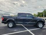 Used 2015 Ford F150 XLT image 6