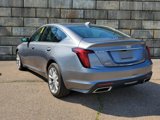 Used 2022 Cadillac CT5 Premium Luxury image 3