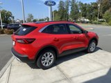 New 2024 Ford Escape Active w/ Tech Pack #1 image 5