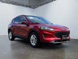 Used 2020 Ford Escape SE image 3