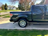 Used 2010 Ford F150 Platinum image 2
