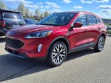 Used 2020 Ford Escape SEL image 3