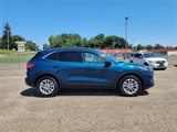 Used 2020 Ford Escape SE image 4