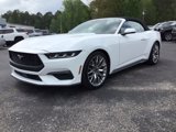 Used 2024 Ford Mustang Premium image 2
