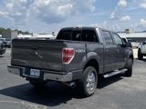 Used 2014 Ford F150 XLT w/ Equipment Group 302A Luxury image 3