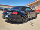 Used 2023 Ford Mustang Premium image 3