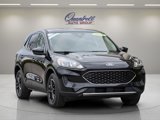 Used 2020 Ford Escape SE image 2