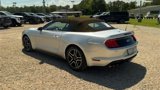 Used 2019 Ford Mustang GT Premium image 6