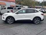 New 2025 Ford Escape ST-Line w/ Tech Pack #1 image 2
