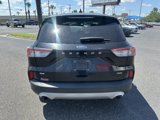 Used 2021 Ford Escape SE image 5