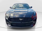 Used 2016 Ford Mustang Coupe w/ Equipment Group 051A image 2