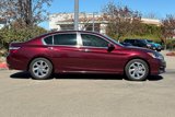 Used 2017 Honda Accord EX-L image 3