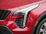 Used 2019 Cadillac XT4 Premium Luxury image 5