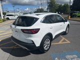 Used 2023 Ford Escape Active w/ Tech Pack #2 image 3
