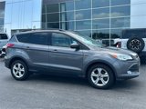 Used 2014 Ford Escape SE w/ Equipment Group 201A image 2