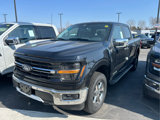 New 2025 Ford F150 XLT w/ Equipment Group 302A MID image 4