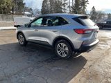 Used 2022 Ford Escape SEL image 4