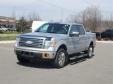 Used 2009 Ford F150 Platinum image 2
