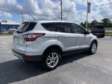 Used 2017 Ford Escape SE image 2