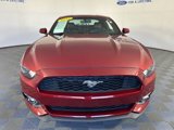 Used 2015 Ford Mustang Premium w/ Ecoboost Performance Package image 4