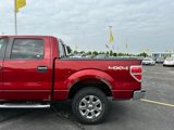 Used 2013 Ford F150 XLT w/ Luxury Equipment Group image 6