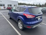 Used 2014 Ford Escape Titanium image 3