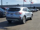 Certified 2022 Ford Escape SEL w/ Technology Package image 4