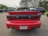Used 2000 Pontiac Firebird Trans Am image 5