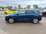 Used 2020 Ford Escape SE image 2