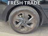 Used 2023 Hyundai Elantra SEL w/ Cargo Package image 5