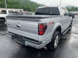 Used 2014 Ford F150 FX4 w/ Equipment Group 402A Luxury image 4