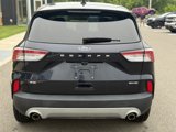 Certified 2021 Ford Escape SE w/ Cold Weather Package image 3