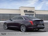 New 2025 Cadillac CT4 Premium Luxury image 3