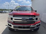 Used 2018 Ford F150 XLT w/ Equipment Group 302A Luxury image 4
