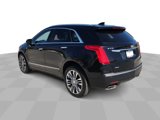 Used 2019 Cadillac XT5 Premium Luxury image 6