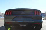Used 2019 Ford Mustang Bullitt w/ Bullitt Electronics Package image 5