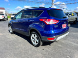Used 2015 Ford Escape SE w/ Equipment Group 201A image 3