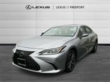 Certified 2024 Lexus ES 250 w/ Premium Package image 3