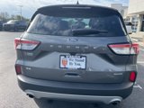Used 2022 Ford Escape SE w/ Cold Weather Package image 4