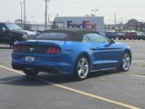 Used 2021 Ford Mustang Premium w/ Equipment Group 201A image 5