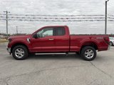 Used 2024 Ford F150 XLT w/ FX4 Off-Road Package image 2