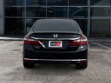 Used 2016 Honda Accord Sport image 6