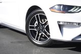 Certified 2020 Ford Mustang Premium image 3