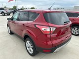 Used 2017 Ford Escape SE w/ SE Cold Weather Package image 3
