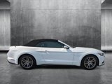 Used 2015 Ford Mustang Premium image 4