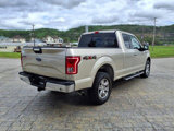 Used 2017 Ford F150 XLT w/ Equipment Group 302A Luxury image 5